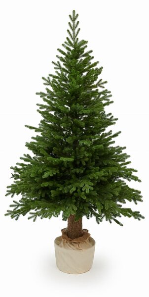 Smrek Prestige na pni 100% 3D- 210cm