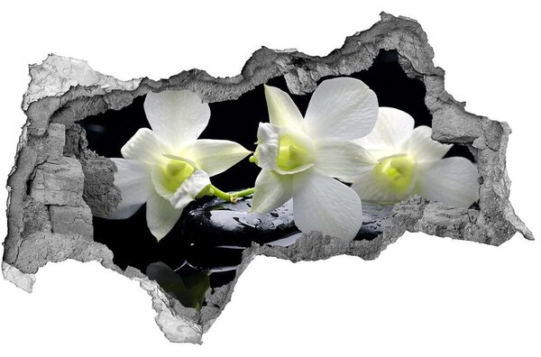 Samolepiaca nálepka fototapeta Orchidea nd-b-28908662