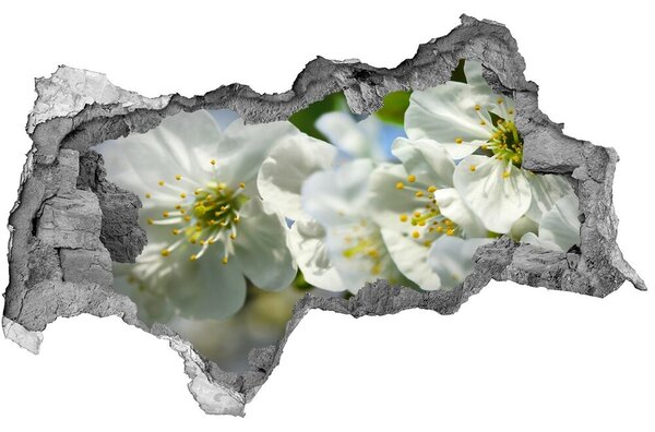 Samolepiaca diera nálepka Čerešňový kvet nd-b-82566454