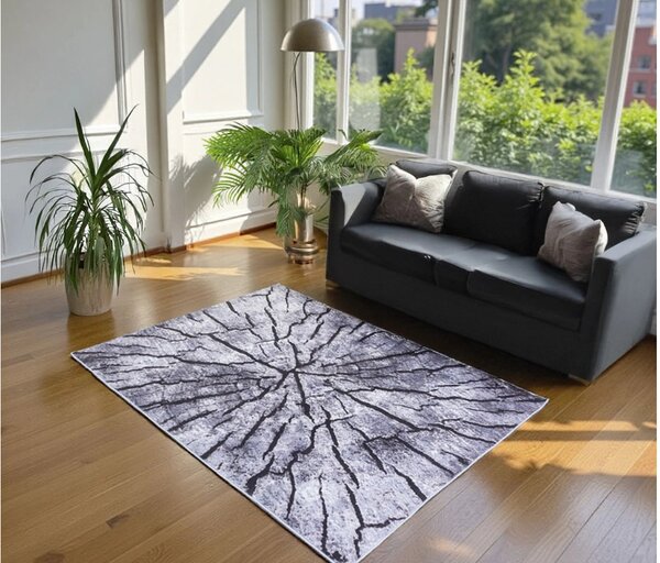 TZ Obdĺžnikový vzorovaný koberec Neo Rozmer: 120x170 cm