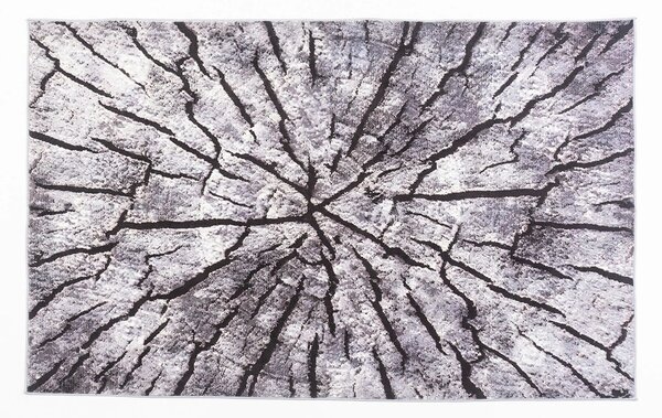 TZ Obdĺžnikový vzorovaný koberec Neo Rozmer: 120x170 cm