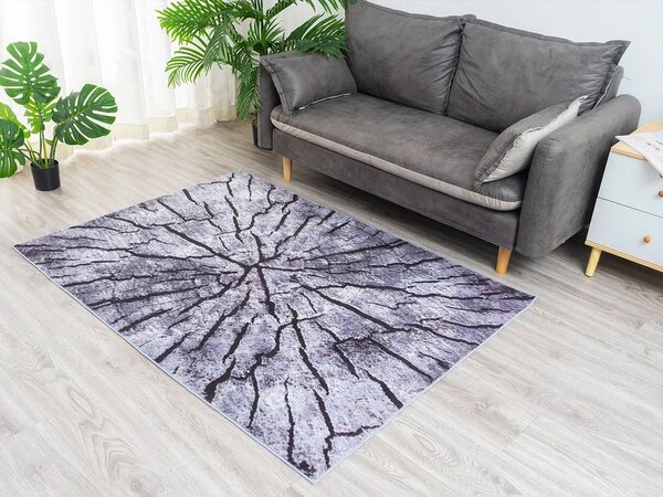 TZ Obdĺžnikový vzorovaný koberec Neo Rozmer: 120x170 cm