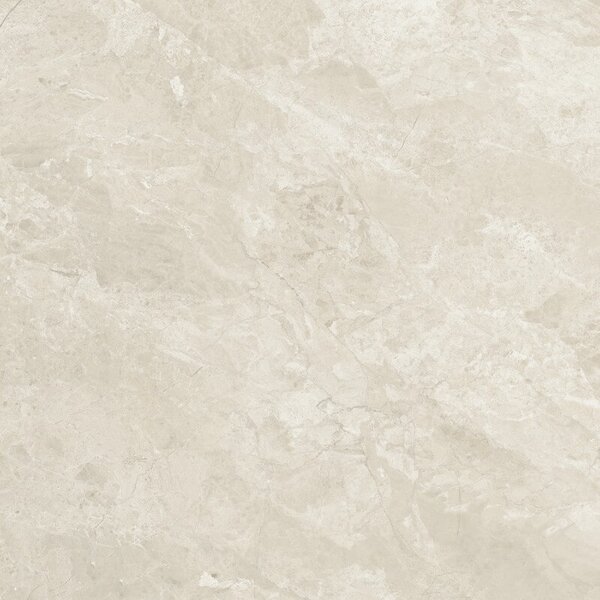 Canyon Bone Anti-Slip 80x80 R