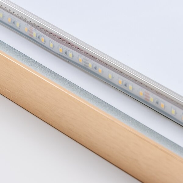 BRILAGI-LED Kúpeľňové zrkadlo ERBA LED/25W/230V 50x80 cm zlaté IP44 CRI 90 stmievateľné + CCT
