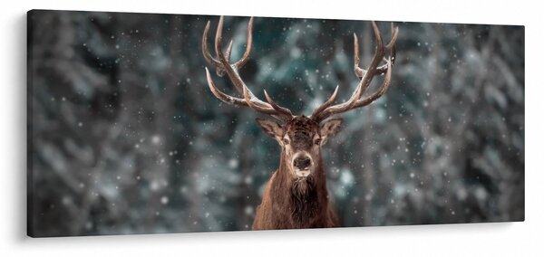 Obraz - Majestátnosť jeleňa (120x50 cm)