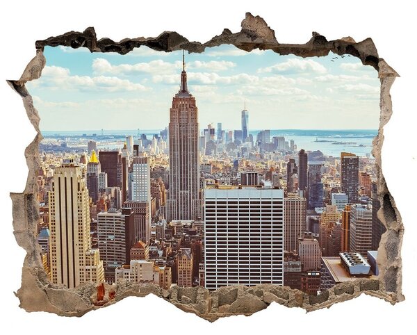 Fototapeta díra na zeď 3D New york letu vták