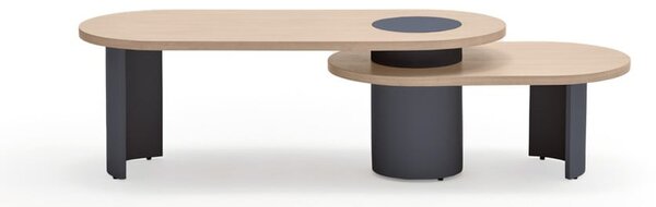 Modrý/v prírodnej farbe konferenčný stolík v dekore jaseňa 50x120 cm Nori – Teulat