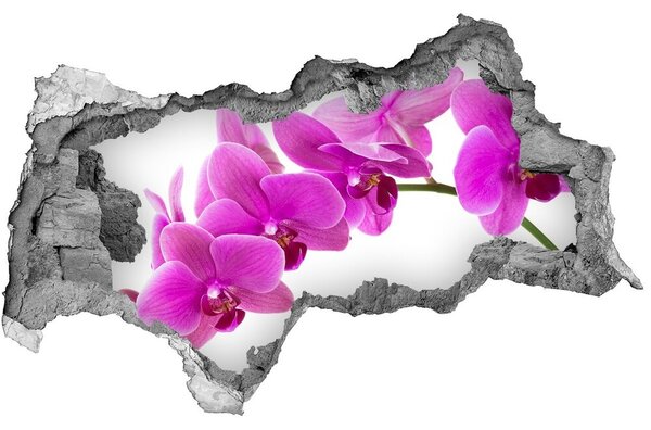 Samolepiaca diera nálepka Ružová orchidea nd-b-67691978