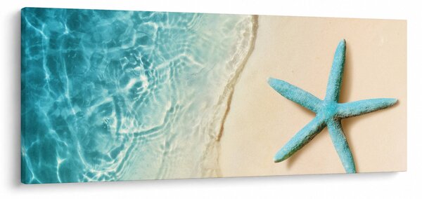 Obraz - Hviezdica na pláži (120x50 cm)