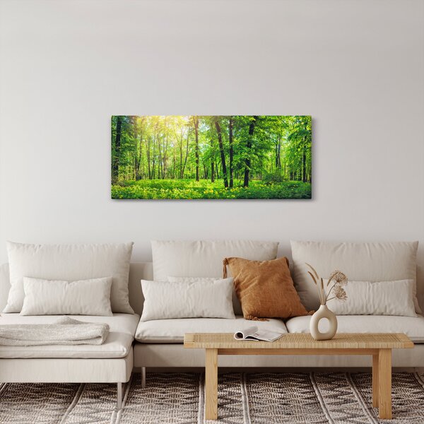 Obraz - Jarný listnatý les (120x50 cm)