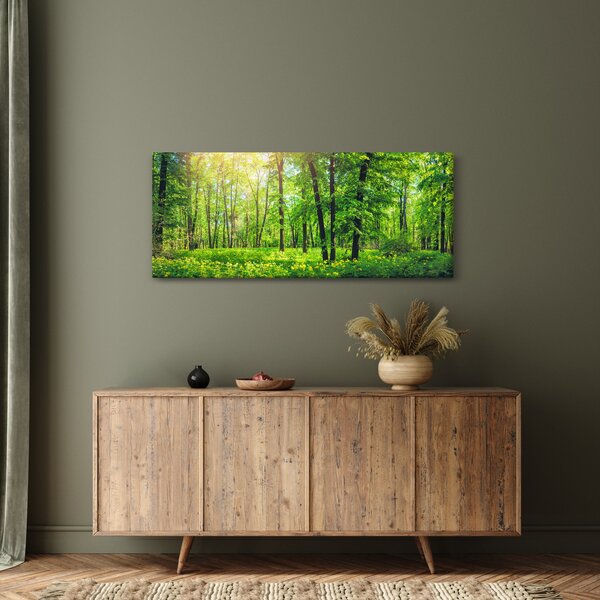 Obraz - Jarný listnatý les (120x50 cm)