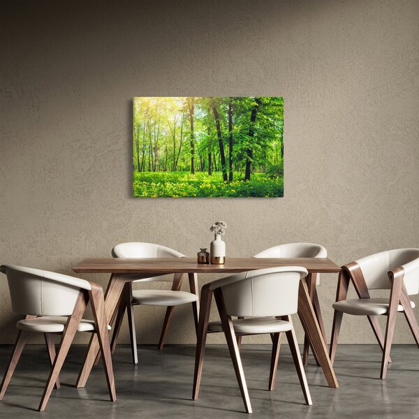 Obraz - Jarný listnatý les (90x60 cm)