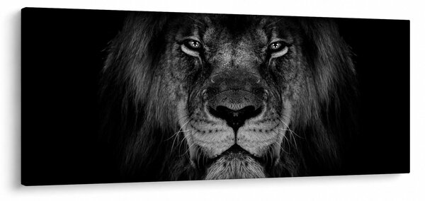 Obraz - Lev a jeho majestátnosť (120x50 cm)