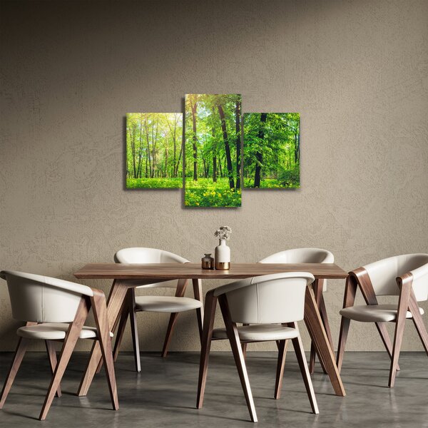 Obraz - Jarný listnatý les (90x60 cm)