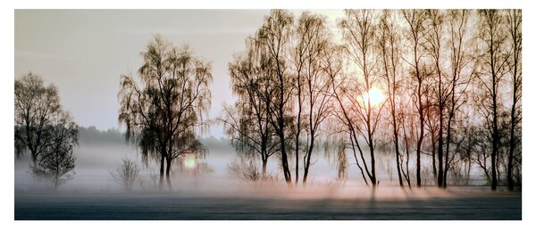Obraz - Ranná sychravosť (120x50 cm)