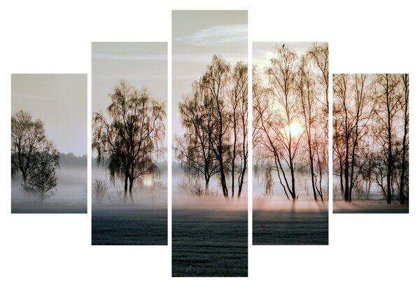 Obraz - Ranná sychravosť (150x105 cm)