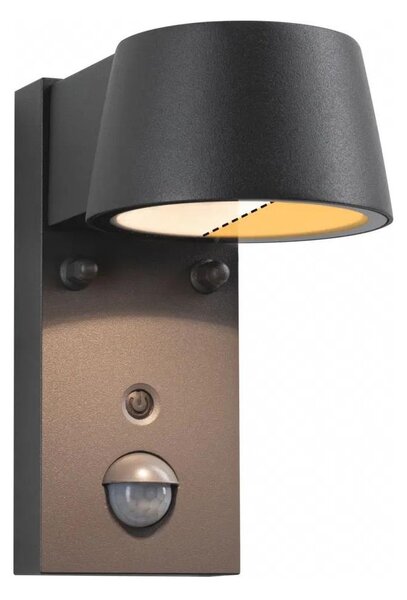 Paulmann 94714 - LED/6W IP44 Vonkajšie nástenné svietidlo so senzorom CAPERA 230V