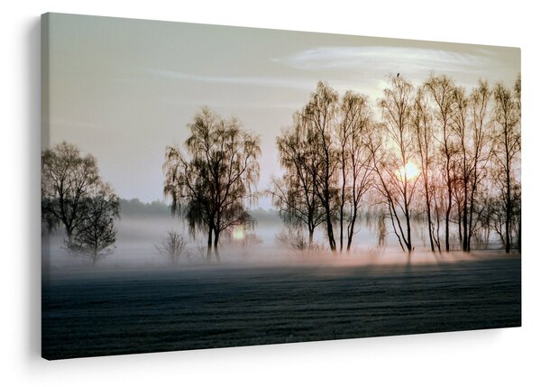 Obraz - Ranná sychravosť (90x60 cm)