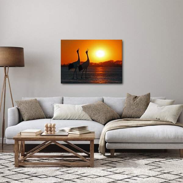 Obraz vtákov pri západe slnka (70x50 cm)