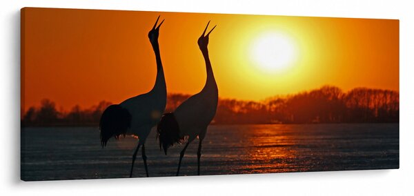 Obraz vtákov pri západe slnka (120x50 cm)
