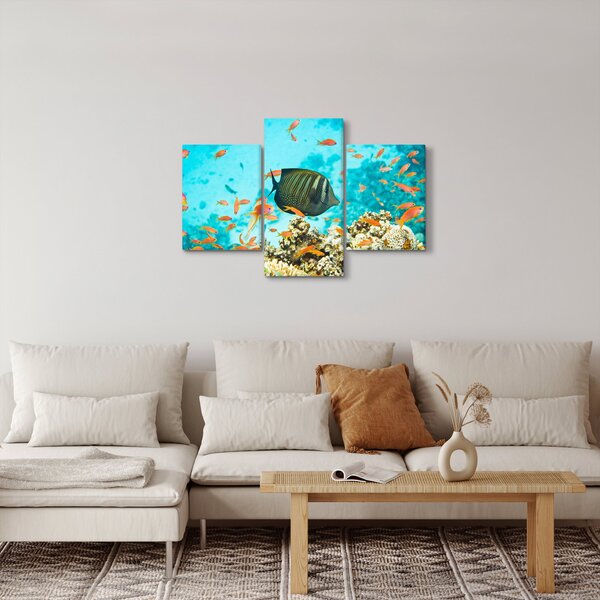 Obraz podmorského sveta (90x60 cm)