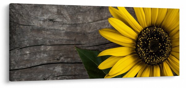 Obraz - Kvet slnečnice (120x50 cm)