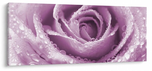 Obraz detailu kvetu ruže (120x50 cm)