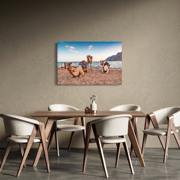 Obraz tiav (90x60 cm)