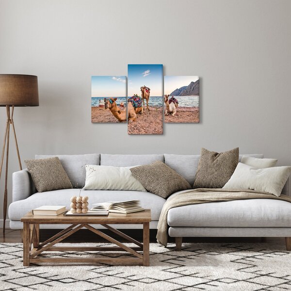 Obraz tiav (90x60 cm)