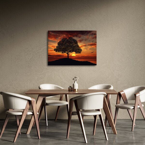 Obraz stromu pri západe slnka (70x50 cm)
