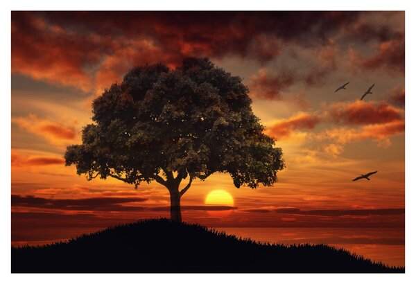 Obraz stromu pri západe slnka (90x60 cm)