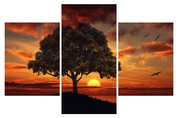 Obraz stromu pri západe slnka (90x60 cm)