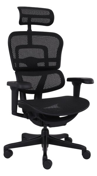 Ergonomické kreslo Ergohuman 2 Ultra BS Black