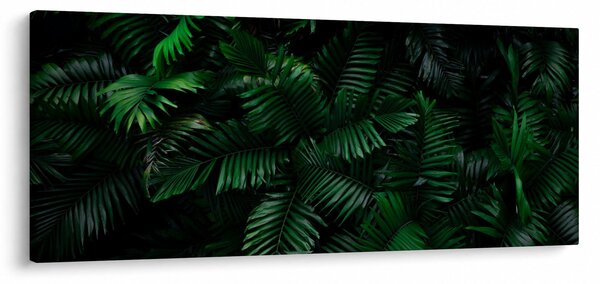 Obraz - Tropické papradie (120x50 cm)