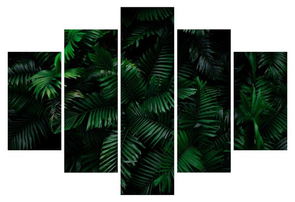 Obraz - Tropické papradie (150x105 cm)