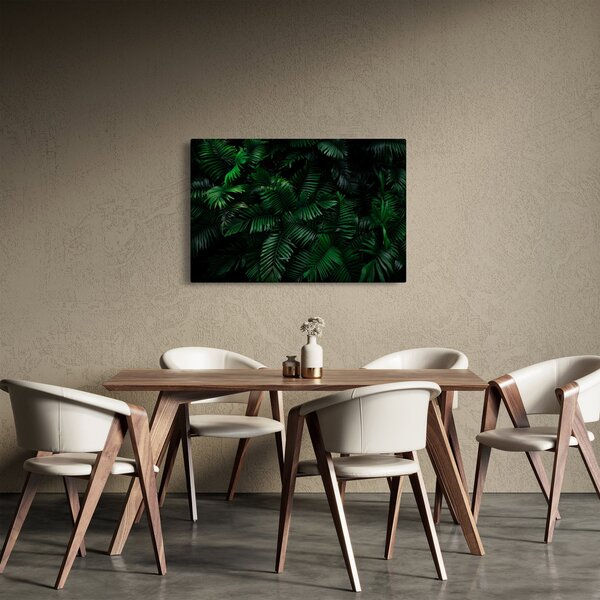 Obraz - Tropické papradie (90x60 cm)