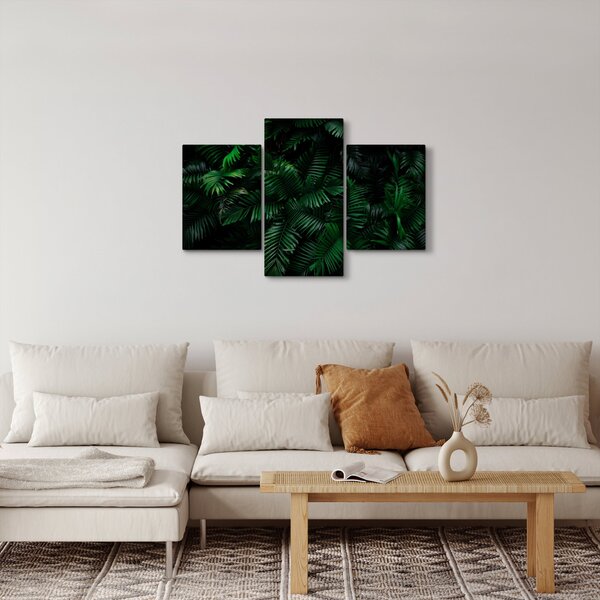 Obraz - Tropické papradie (90x60 cm)