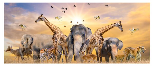 Obraz - Africké zvieratá (120x50 cm)