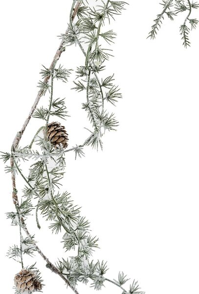 Vetvička Snowy Pine 180 cm