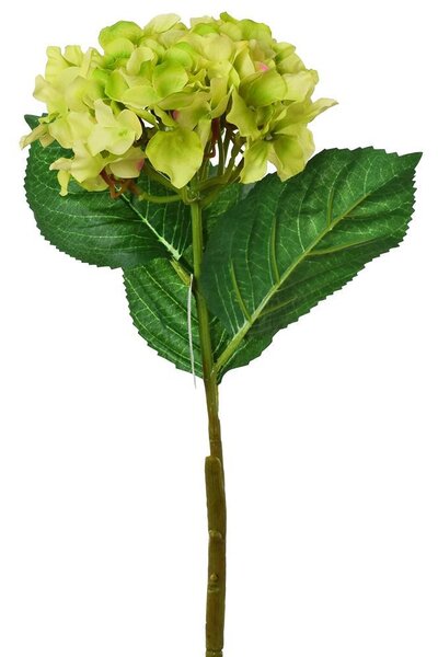 Hortenzia zelená kus 50cm 1100166 - Umelé kvety