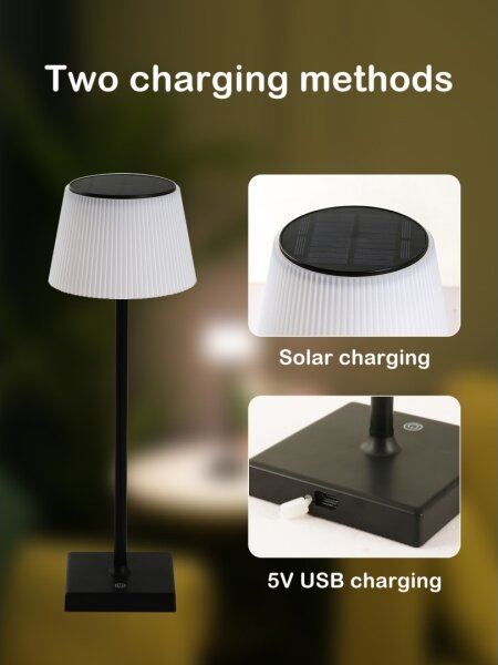 Immax 08492L - LED Stmievateľná vonkajšia solárna lampa LED/4W/5V IP44