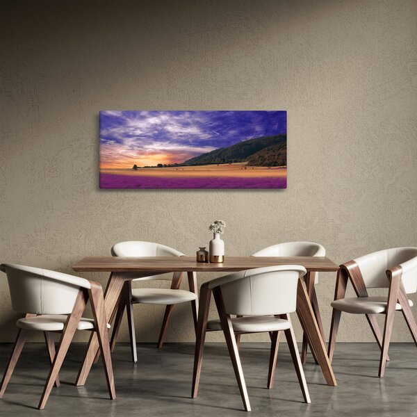 Obraz levanduľovej lúky (120x50 cm)