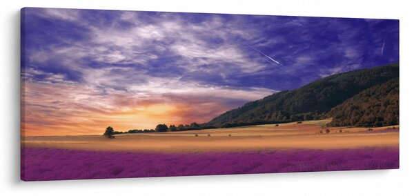 Obraz levanduľovej lúky (120x50 cm)