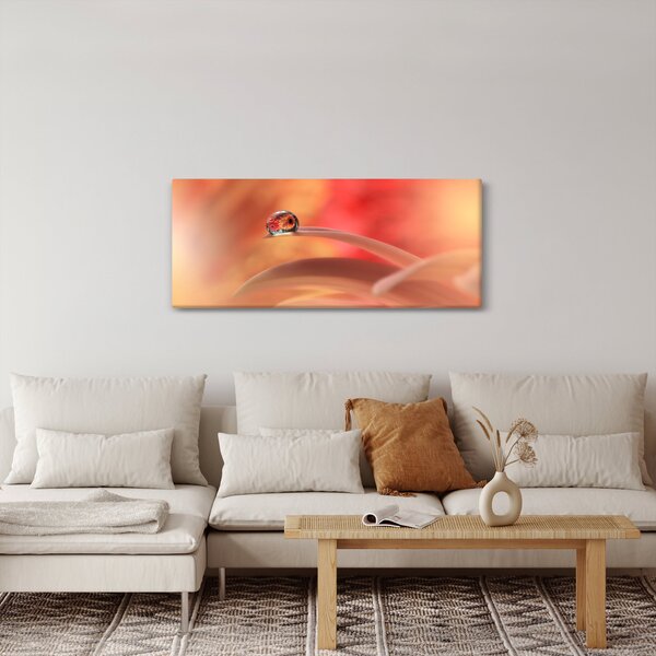 Obraz kvetinové kvapky rosy (120x50 cm)