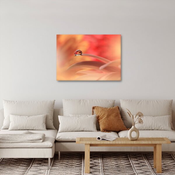 Obraz kvetinové kvapky rosy (70x50 cm)