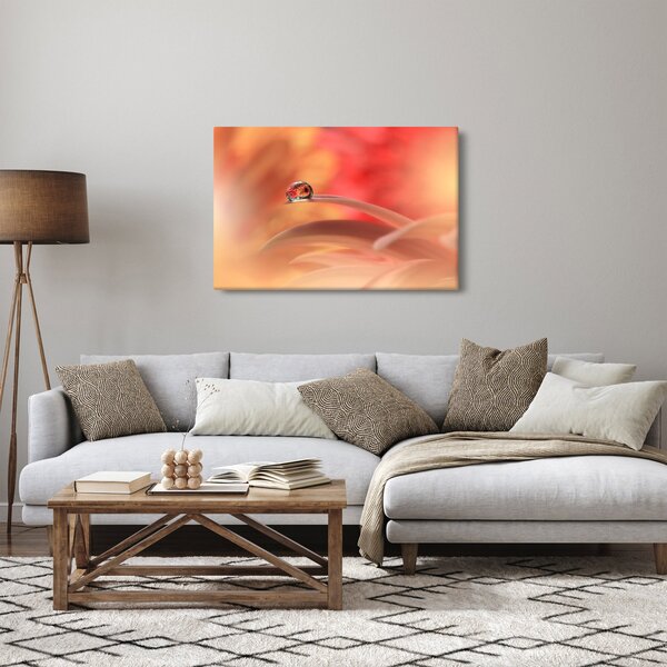Obraz kvetinové kvapky rosy (90x60 cm)
