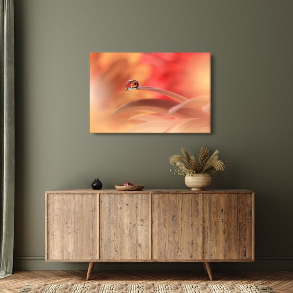 Obraz kvetinové kvapky rosy (90x60 cm)