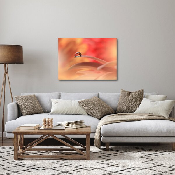 Obraz kvetinové kvapky rosy (70x50 cm)