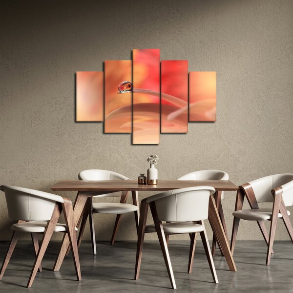 Obraz kvetinové kvapky rosy (150x105 cm)