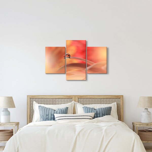Obraz kvetinové kvapky rosy (90x60 cm)